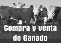 Negocios de Ganado